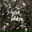 albit