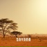 Hajia