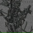 Wedrodur