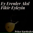 Peker Kardeşler