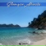 Canciona