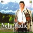 Nelu Zadic