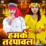 Ranjan Rashik