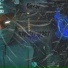 DNZSF