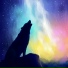 Lou the wolf