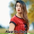 Aslam Singer Mewati