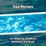 New Age, Ocean Sounds, Nature Sounds