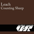 Leach