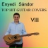 Sandor Enyedi