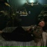 Holls