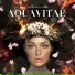 The Voynich Code Andrew Patterson