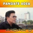 Ansar S