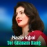 Nazia Iqbal