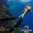 Barracuda Music