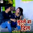 Vivek Bihari