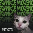 Frankie Moreno