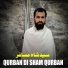 Sayed Shah Musafir
