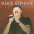 Haris Dzinovic