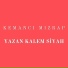 Kemancı Mızrap