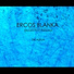 Ercos Blanka