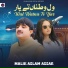 Malik Aslam Assar