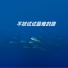 阿扎萨