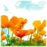 Shin Minu