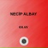 Necip Albay