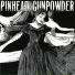 Billie Joe Armstrong (Pinhead Gunpowder)