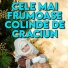 Colinde de Craciun, Colinde 2023