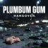 Plumbum gum