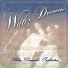 Blue Danube Orchestra