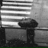 Rainfall Rhythms