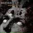 REEVEBACK