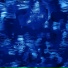 6N31ONE