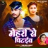 Vikash Virat, Antra Singh Priyanka