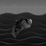 Abyssal Echoes