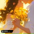 Van Snyder, MAD1AD, TOROK