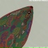 The Parrotfish Project