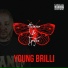 Young Brilli