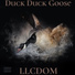 LLCDom