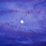 Calming Bird Songs