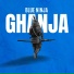 Blue Ninja