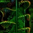GreenLevel