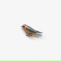 Kishi Bashi