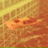 Gorigamia