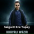 Khayali Wazir