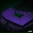 Rooky030