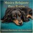 RelaxMyDog, Dog Music Dreams, Relax My Puppy
