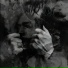 Oldboy K.I.G